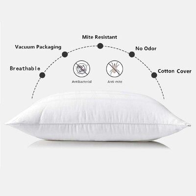 Vacuum Packed Luxury  Pillows With Filling